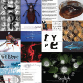 Typeface Love Affair