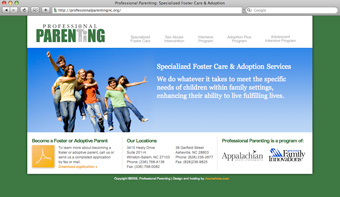 Professional Parenting